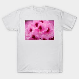 Purple rhododendron flower T-Shirt